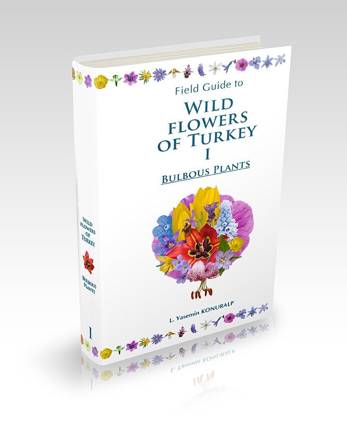 Cover of the field guide Wildflowers of Turkey, Volume I - Bulbous Plants by L. Yasemin Konuralp.